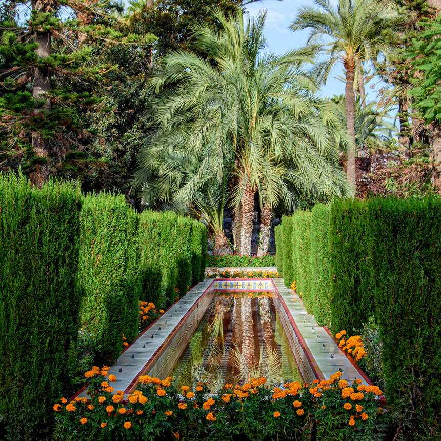 Jardín con setos recortados, palmeras y un estanque alargado.